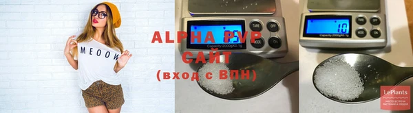прущие грибы Туринск