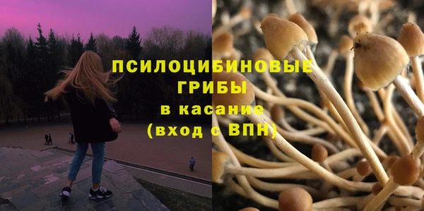 ешки Балахна