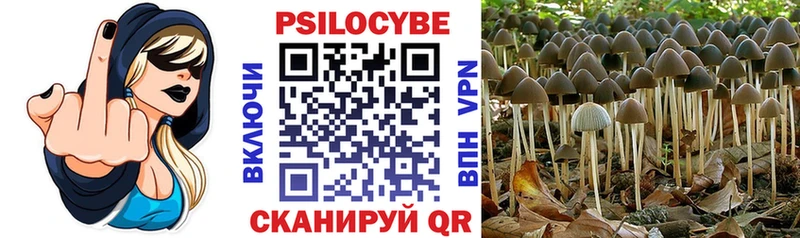 Псилоцибиновые грибы ЛСД Волоколамск